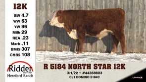 Lot #12K - R 5184 NORTH STAR 12K