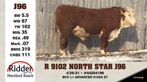 Lot #J96 - OUT -- R 9102 NORTH STAR J96