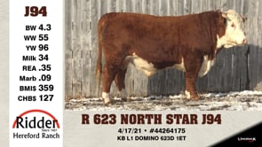 Lot #J94 - OUT -- R 623 NORTH STAR J94