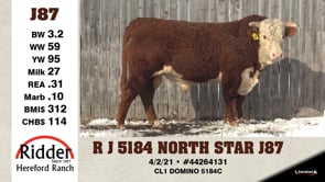 Lot #J87 - R J 5184 NORTH STAR J87