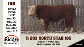Lot #J85 - R 203 NORTH STAR J85