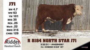 Lot #J71 - R 8184 NORTH STAR J71