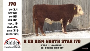 Lot #J70 - R ER 8184 NORTH STAR J70
