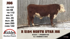 Lot #J66 - R 5184 NORTH STAR J66