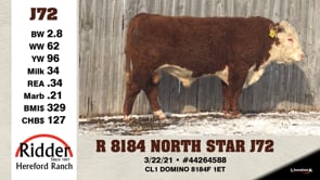 Lot #J72 - R 8184 NORTH STAR J72
