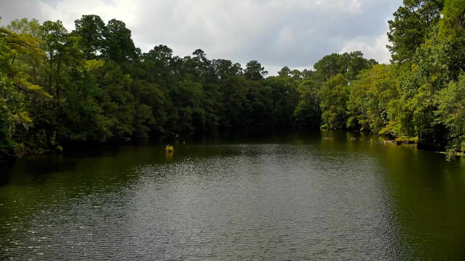 The Highlands Team Shares Their Vision