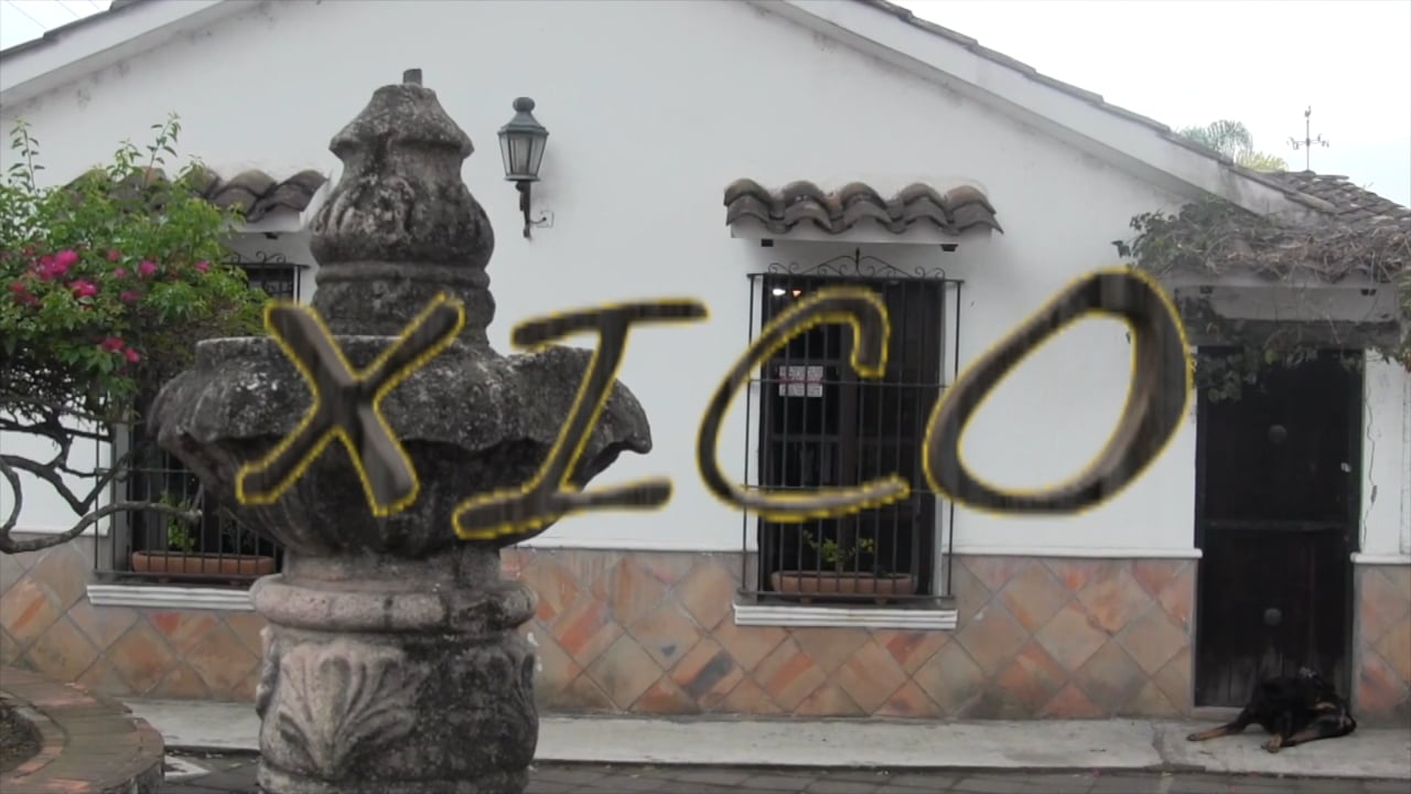 Xico y sus Museos
