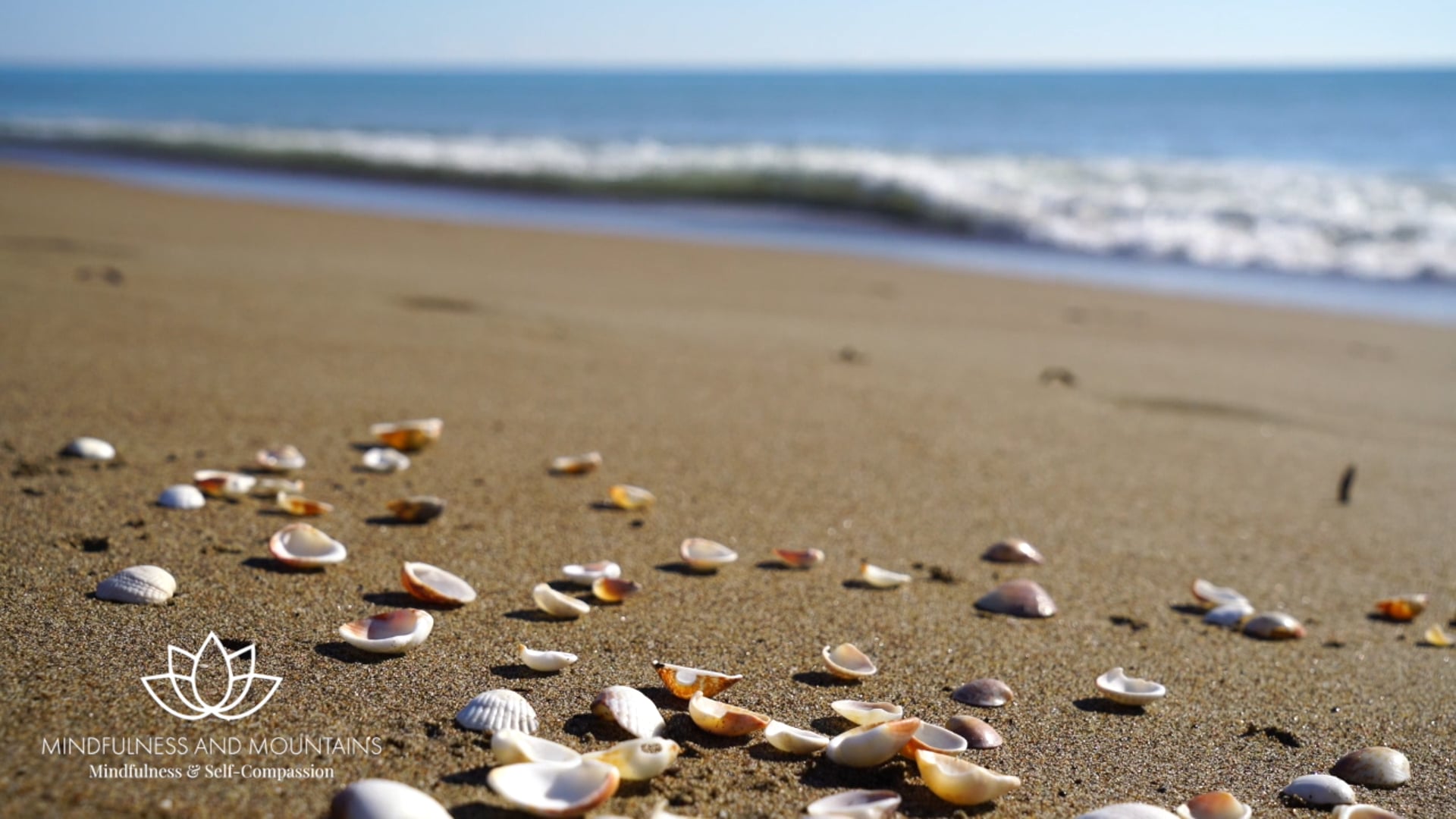 Self-Appreciation Practice 6 Minutes