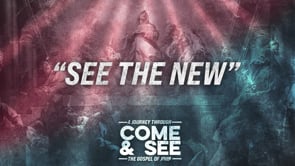 WK 1 | Come And See: The New | David Chan