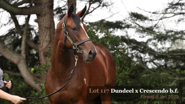 Lot 117