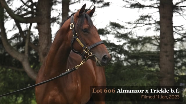 Lot 606