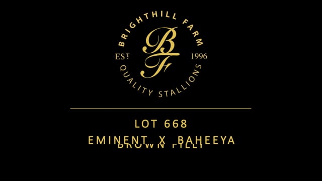 Lot 668