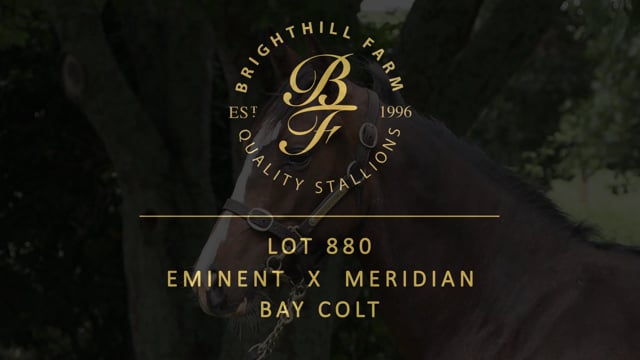 Lot 880