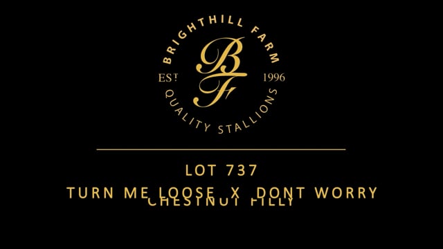 Lot 737