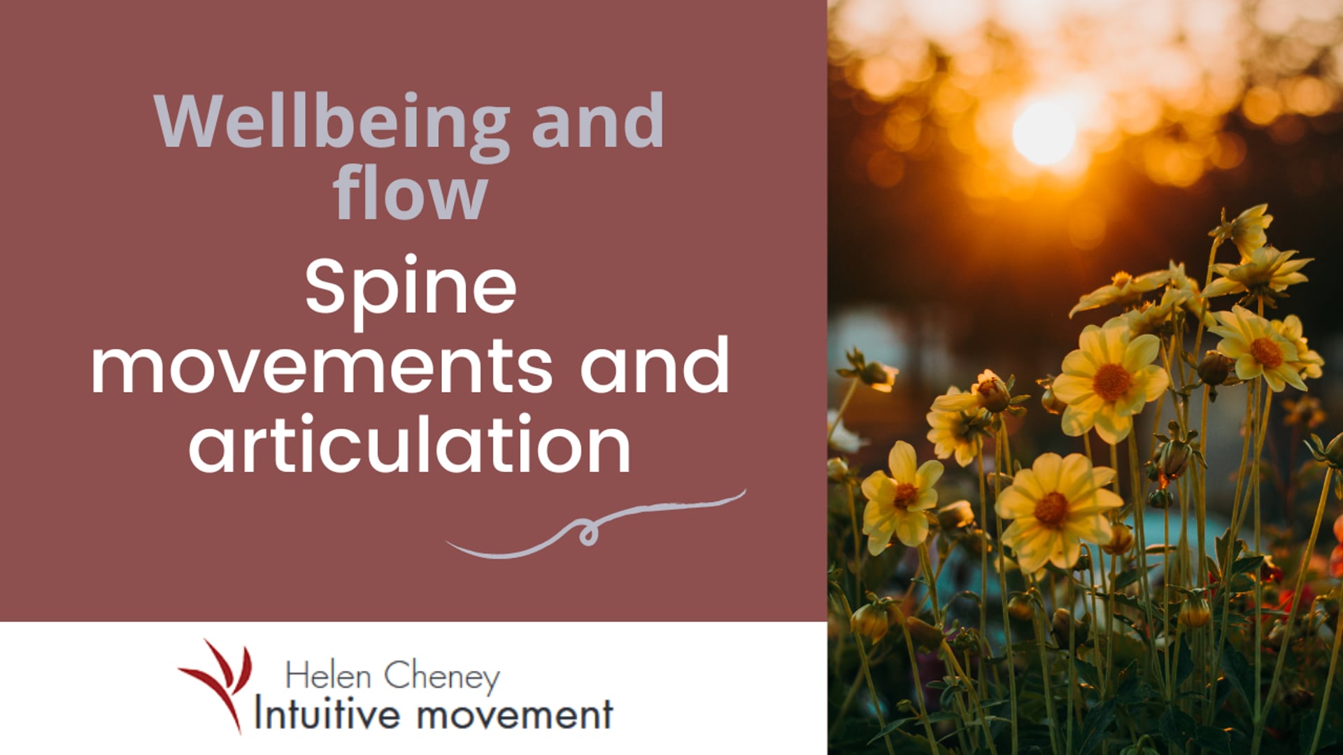 Spine movements and articulation