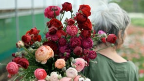 Rachel Siegfried - flower farmer - CC