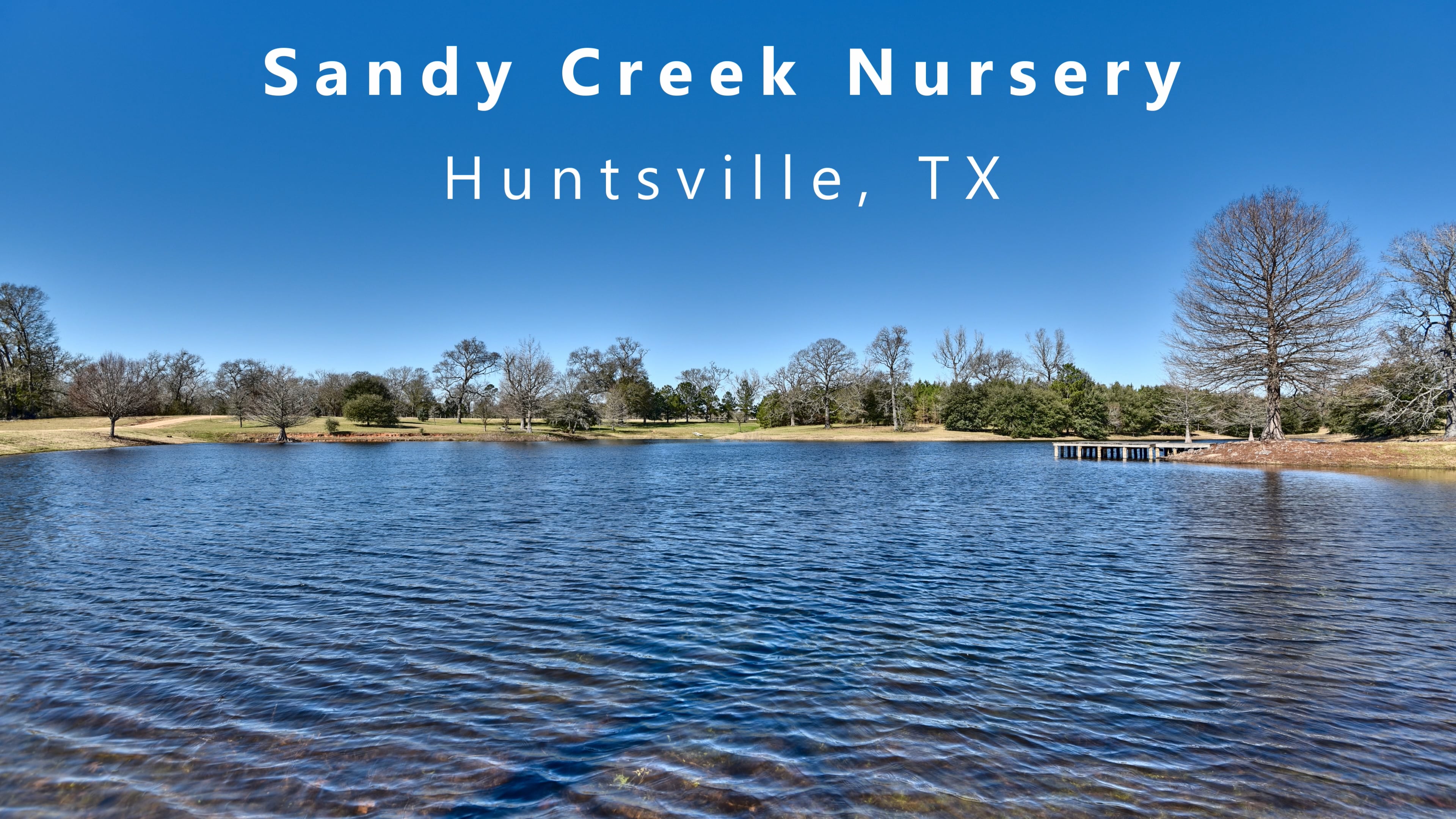 Sandy Creek Nursery Huntsville NonBranded In 4K.mp4 on Vimeo