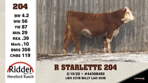 Lot #204 - R STARLETTE 204