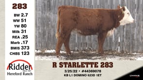 Lot #283 - R STARLETTE 283
