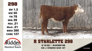 Lot #298 - R STARLETTE 298