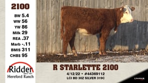 Lot #2100 - R STARLETTE 2100