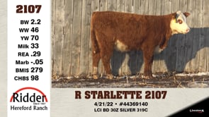 Lot #2107 - R STARLETTE 2107