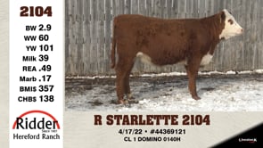 Lot #2104 - R STARLETTE 2104