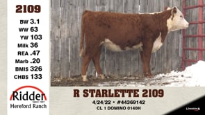 Lot #2109 - R STARLETTE 2109