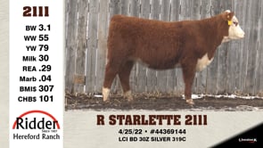 Lot #2111 - R STARLETTE 2111
