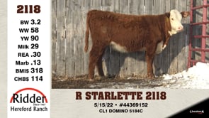 Lot #2118 - R STARLETTE 2118