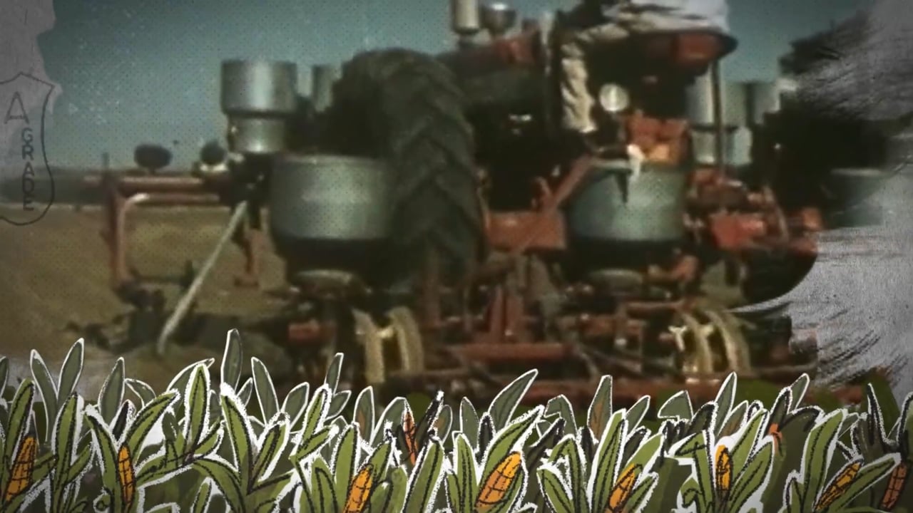 Rich Appetites: The Foundation, a video by AGRA Watch