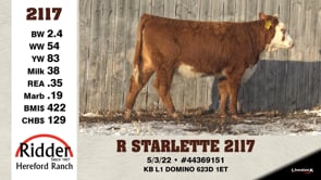 Lot #2117 - R STARLETTE 2117