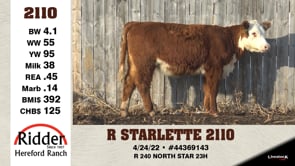 Lot #2110 - R STARLETTE 2110