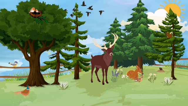 Fairy Tale Film Deer Forest Free Stock Video - Pixabay