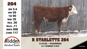 Lot #264 - R STARLETTE 264