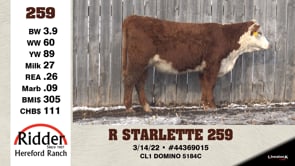 Lot #259 - R STARLETTE 259