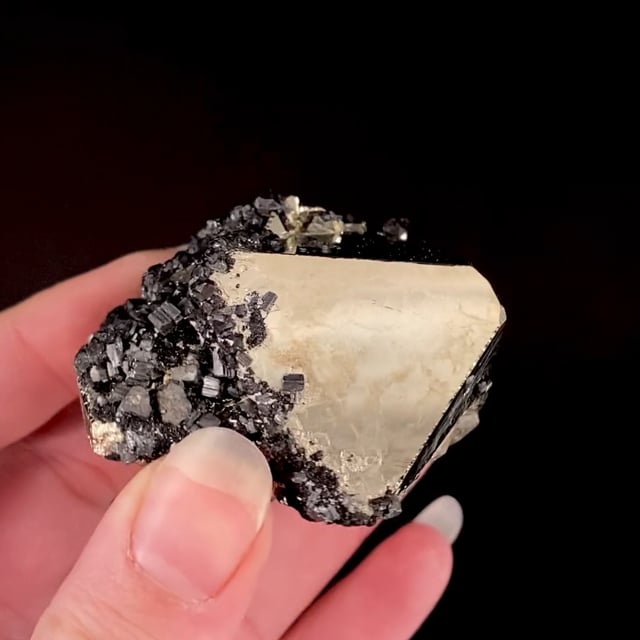 Pyrite (fine crystals) with Sphalerite