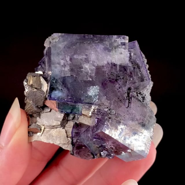 Fluorite (gemmy multi-color ''phantom'' cubes) on Arsenopyrite