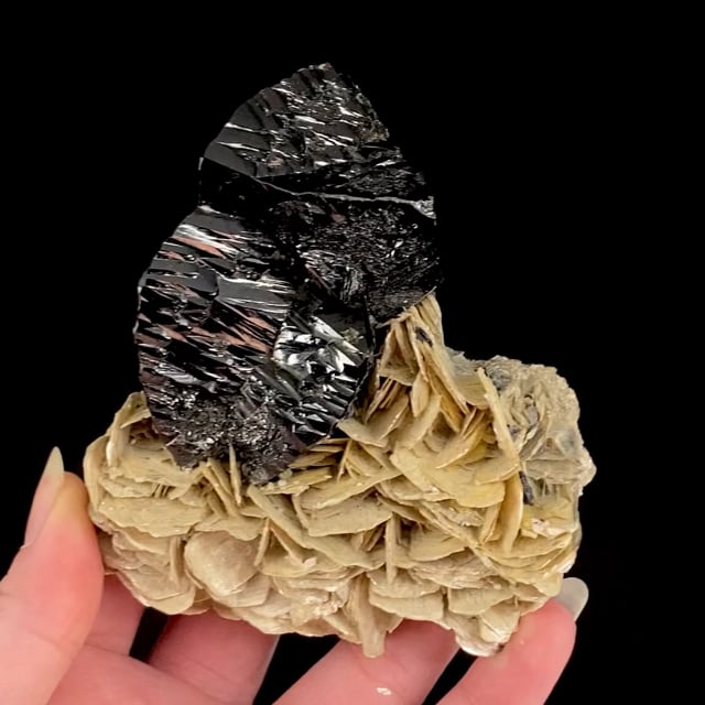 Cassiterite (excellent large twins) on Muscovite