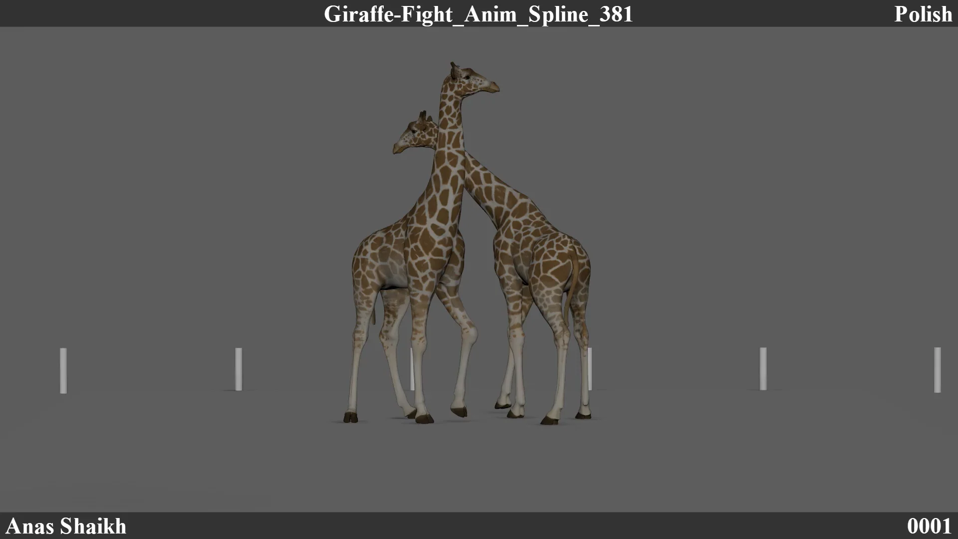 Giraffe Fight Animal Fight on Vimeo