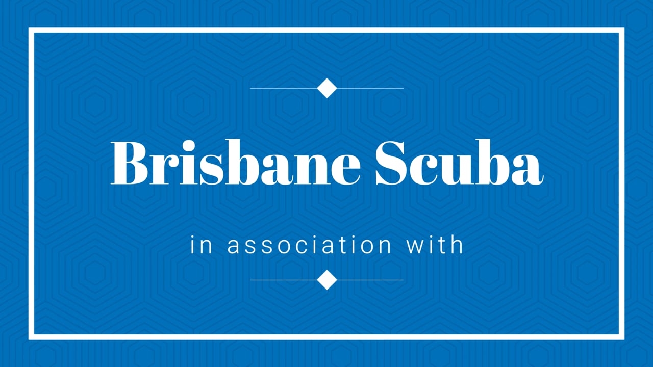 Brisbane Scuba Video Gallery Brisbane Scuba Dive Trips & Scuba