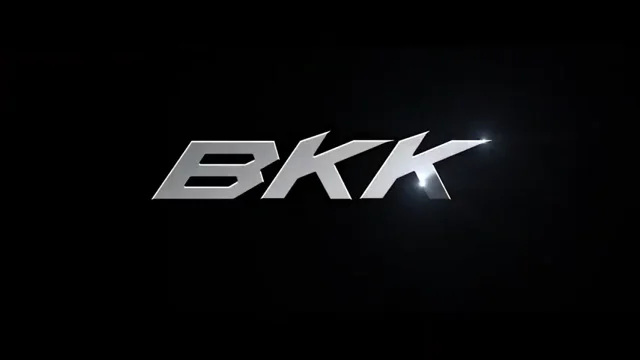 BKK Hybrid Heavy Circle-SS Hook — Discount Tackle