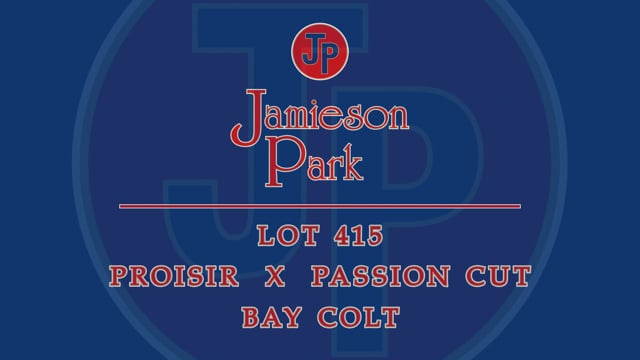 Lot 415