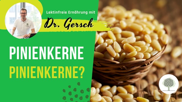 Sind Pinienkerne lektinfrei?