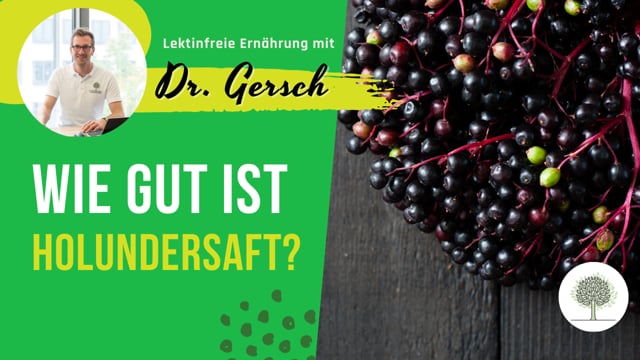 Sind Holunder- und Fliederbeersaft auf einer lektinfreien Ernährung empfehlenswert?