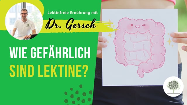 Führen Lektine zu einem undichten Darm (leaky gut) und zu Darmentzündung? 