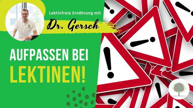 Welche Lebensmittel haben oder enthalten keine Lektine? Welche Nahrungsmittel sind frei von Lektinen?