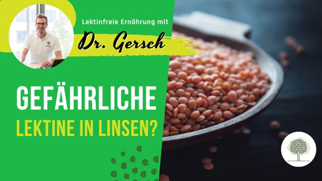 Sind alle Lektine in Linsen schädlich?