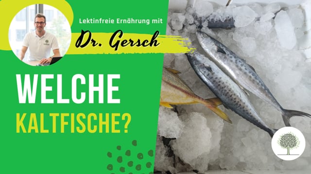 Sind Makrele, Forelle und Lachs als Kaltfische empfehlenswert? 