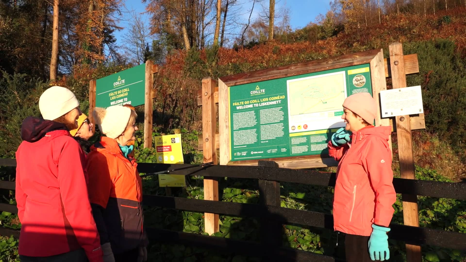 Limerick on Foot Forest Trail on Vimeo